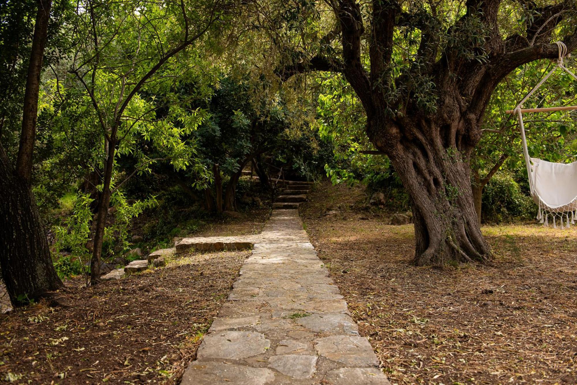 Lithea Villas And Studios By The Sea Agios Petros  Esterno foto